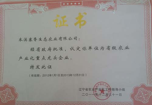 重点龙头企业
