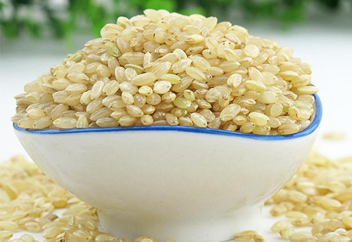 发芽糙米吃起来对身体有什么好处